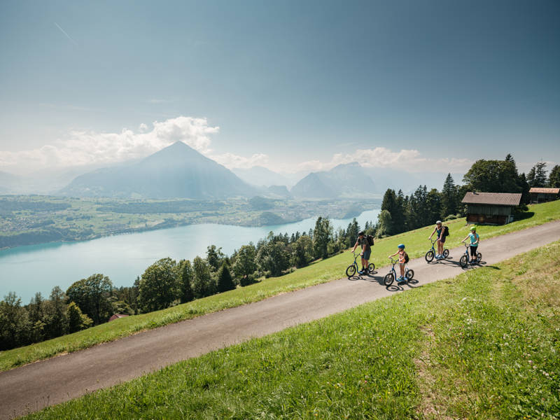 Niederhornbahn Trotti